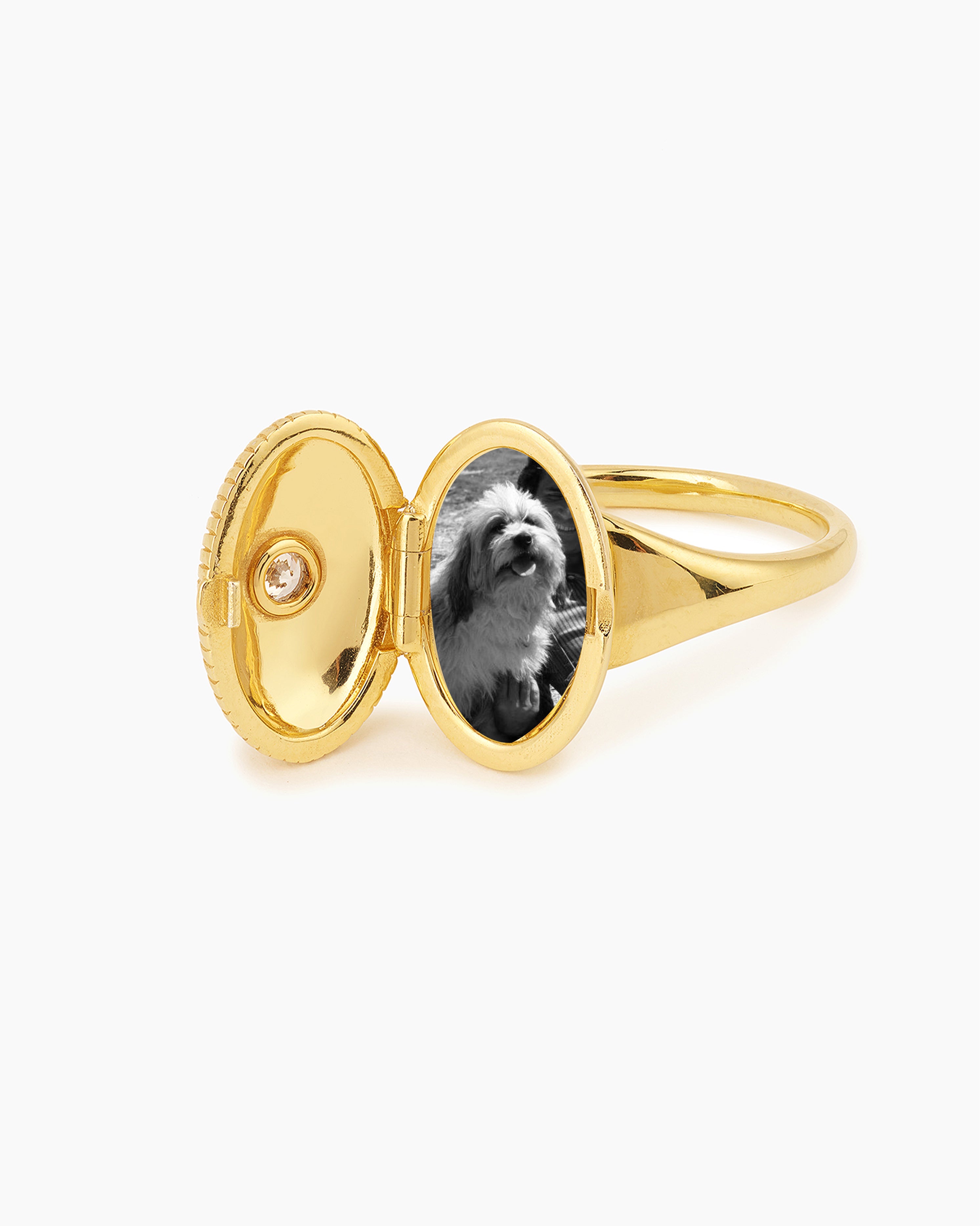 pers-e-paris-bague-memoria-ovale-bague-porte-photo-en-or image 7
