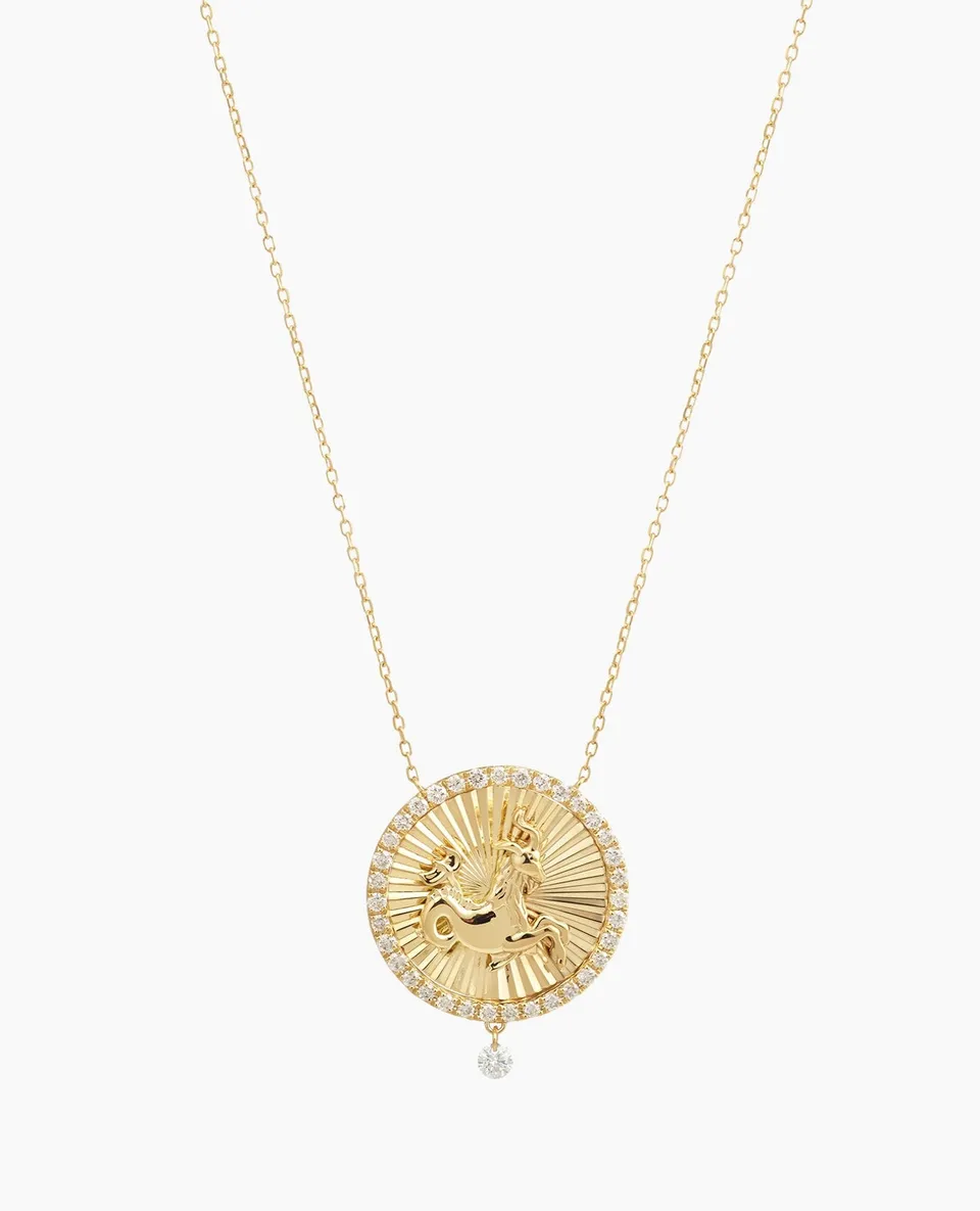 pers-e-paris-collier-c-leste-m-daillon-capricorne-signe-astrologique image 1